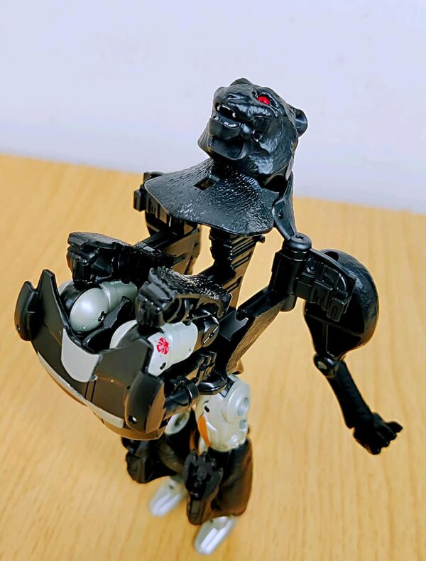 MORE Transformers Agent Ravage Images Cheetor Compared  (31 of 67)